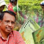 වතු කම්කරු වැටුප් රු.1,700 දක්වා වැඩි කිරීමට රජයේ උත්සහයක්