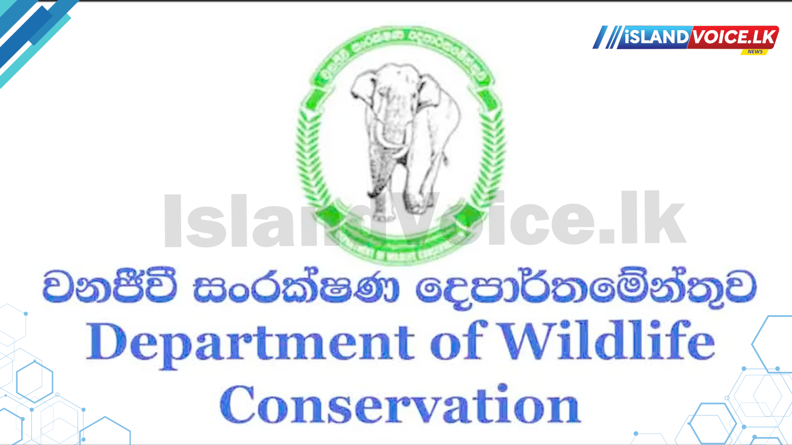 වෙබ් වනජීවී