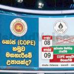 මාලිමා ආණ්ඩුව පත් කළ ලංකා ගල් අඟුරු සමාගමේ සභාපති කෝප් හමුව මඟහැරීමේ උපායකද?